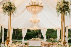 bodas244